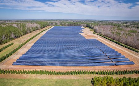 Dampak Bantuan Negara Spanyol pada Investasi Energi Efisien