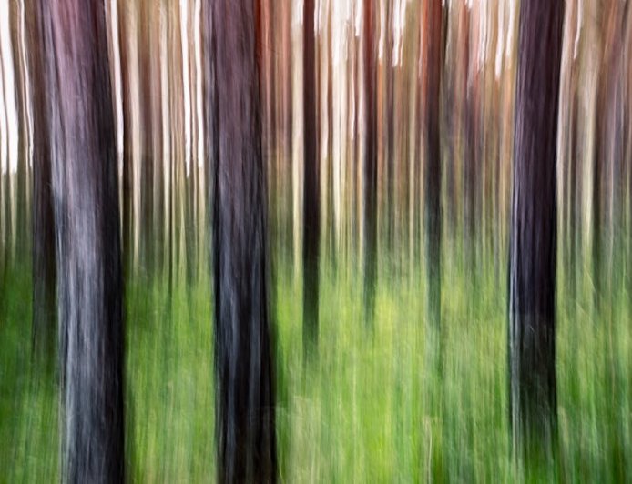 ESG dalam Sorotan Davos Dampak untuk Investasi dan Risiko Finansial