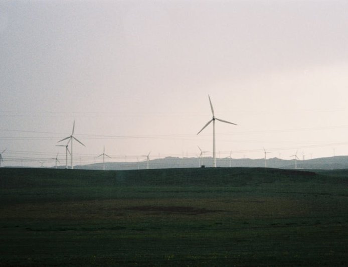 Dampak Pengurangan Emisi Listrik India China Terhadap Investasi Energi