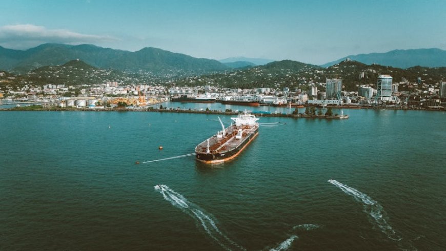 Indonesia Considers Palm Oil Levy Hike to Boost Biodiesel Market