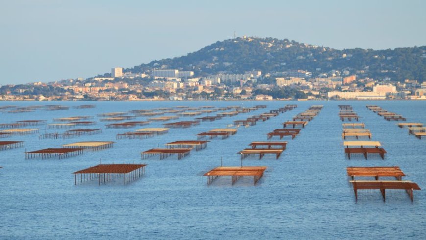 Indonesia’s Coastal Fishing Villages Boost Jobs and Conservation