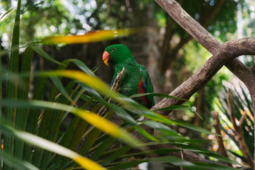 Indonesia’s Natural Wonders and Scientific Discoveries Inspire Global Awe