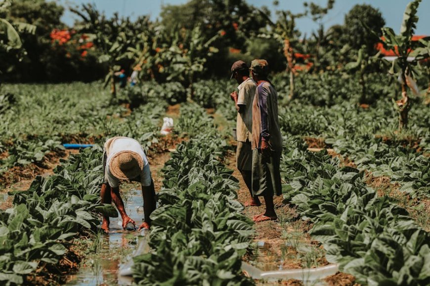 Indonesian Innovator Empowers Communities Through Renewable Energy Solutions