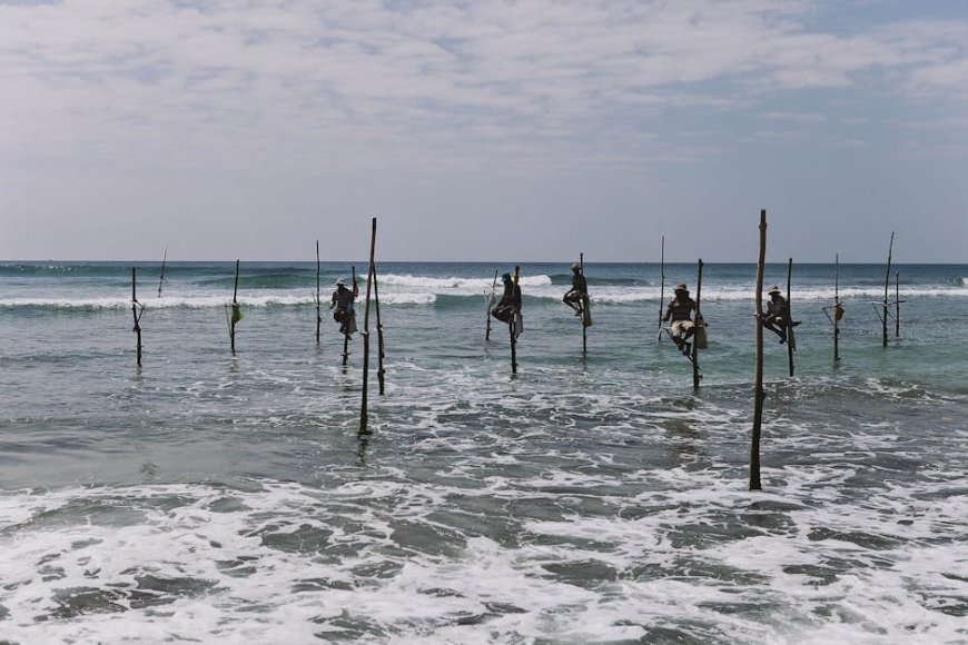 How Maluku’s Sasi Tradition Protects Indonesia’s Fisheries