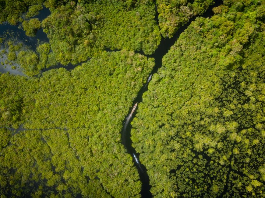 Indonesia's Natural Wonders and Conservation Achievements Revealed