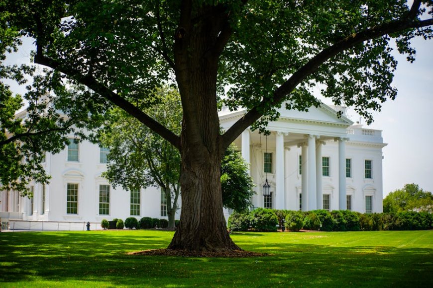 Raksasa Teknologi Kembali Tunduk pada Trump Setahun Pasca Inaugurasi