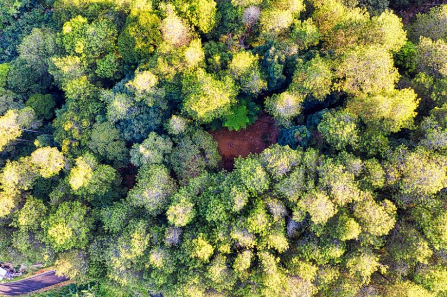 Indonesia’s Natural Wonders and Scientific Discoveries Unveiled