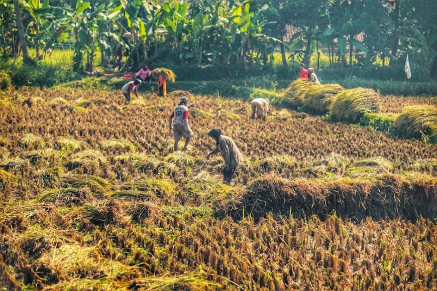 Jutaan Pekerja Indonesia Banting Tulang 10 Jam, Gaji Hanya Rp 3 Juta