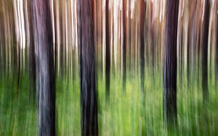 ESG dalam Sorotan Davos Dampak untuk Investasi dan Risiko Finansial