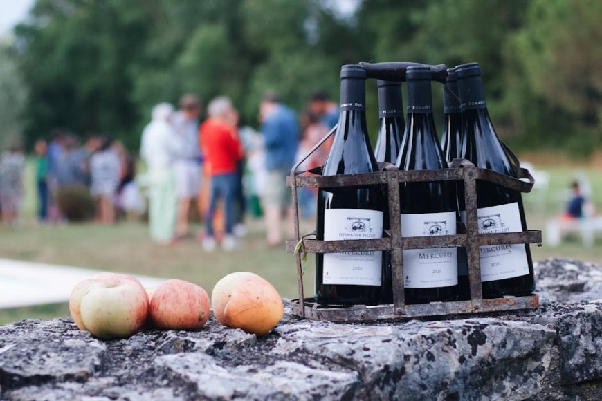 Dampak Tarif Impor 200 Persen AS pada Investasi Wine Prancis