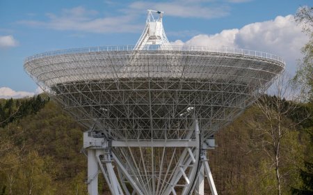 Starlink Ubah Kebijakan Privasi, Data Pelanggan Latih AI Elon Musk