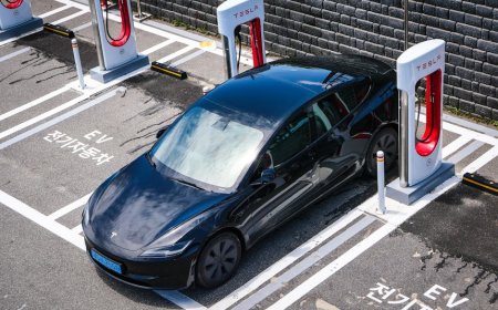 Mobil Listrik Semakin Populer di Seluruh Dunia, Ini Alasannya