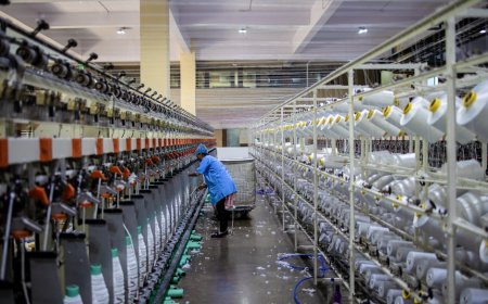 Indonesia Manufacturing PMI Rises as Domestic Demand Strengthens