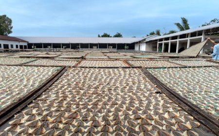 Indonesia Expands Fish Exports with 40 New China-Approved Facilities