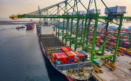 Indonesia Expands Fish Exports to China Amid Growing Trade Ties