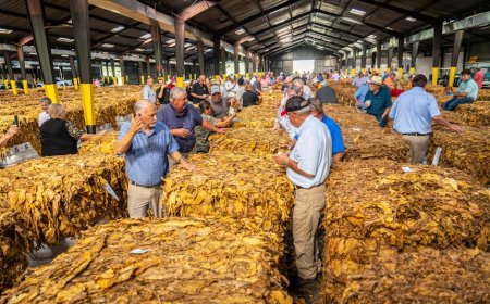 Rediscovering Indonesian Masterpieces Through Modern Art Auctions