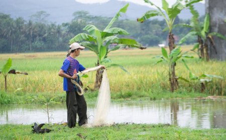 Unveiling Indonesia’s Sustainable Rural Planning and Village Autonomy
