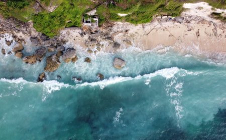 Indonesia and WEF to Host Landmark Ocean Impact Summit in Bali