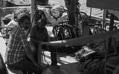 Solar Power Transforms Papua Fisheries and Boosts Sustainability