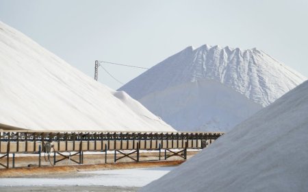 Strategi Trump Bangun Cadangan Mineral Penting Senilai 12 Miliar Dolar