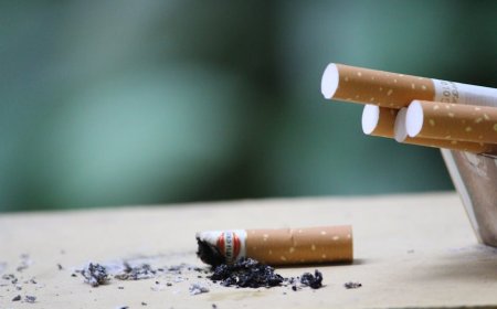 Benarkah Filter Rokok Mengandung Darah Babi Ini Faktanya