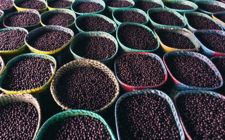 Amazon Manfaatkan AI Mempercepat Produksi Film dan Serial TV