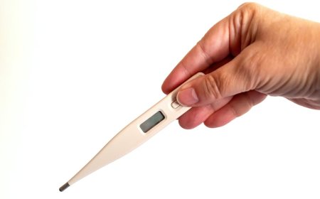 Thermometer Masa Depan: Uji Coba dan Siapa Pengguna Idealnya