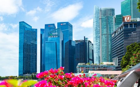 Dampak Suku Bunga pada Laba DBS Bank dan Implikasinya untuk Investor