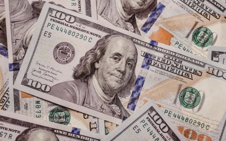 Bagaimana Kebijakan Balance Sheet The Fed Pengaruhi Investasi dan Likuiditas