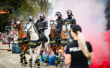 Tips Praktis Ikuti Pelatihan AI Bersama ASEAN Foundation dan Polda Jateng