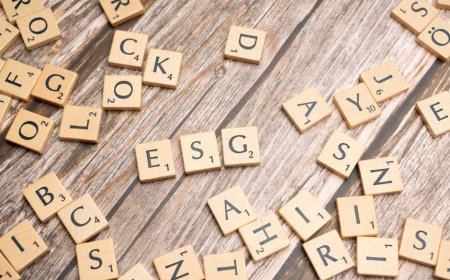 BRI Dorong Bisnis Berkelanjutan Lewat Strategi ESG Terintegrasi