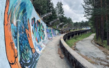 Rahasia Kecepatan Bobsled Olimpiade AI dan Perlengkapan Canggih