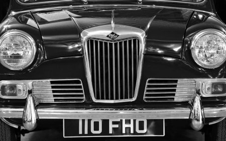 Jester Silicon Valley Riley Walz Resmi Gabung OpenAI