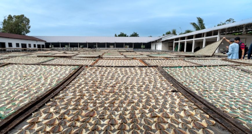 Indonesia Expands Fish Exports with 40 New China-Approved Facilities