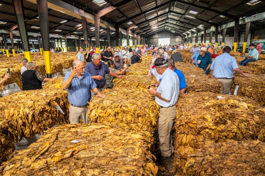 Rediscovering Indonesian Masterpieces Through Modern Art Auctions