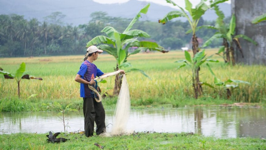 Unveiling Indonesia’s Sustainable Rural Planning and Village Autonomy