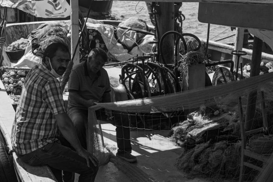 Solar Power Transforms Papua Fisheries and Boosts Sustainability