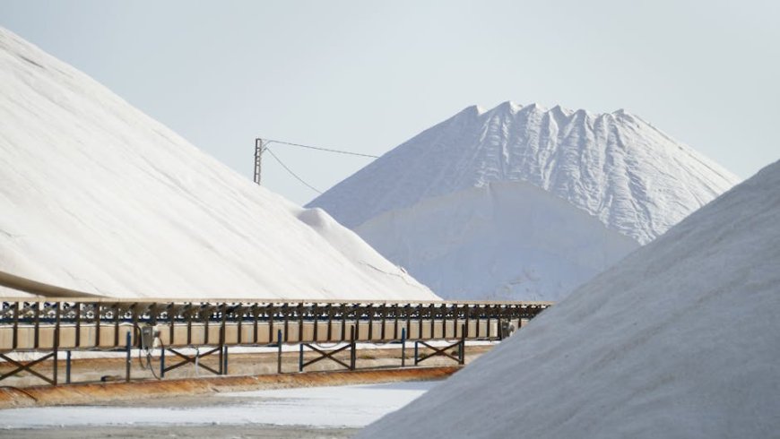 Strategi Trump Bangun Cadangan Mineral Penting Senilai 12 Miliar Dolar