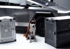 Mengungkap Fakta Kecelakaan Mematikan Tesla Cybertruck dan Penyebabnya