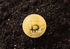 Aktivitas Bitcoin Miner Sepi Ekstrem Tanda Bullish Atau Tidak