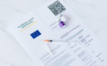 Panduan Upgrade Sertifikat Tanah Analog ke Digital Terbaru