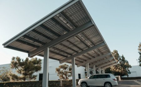 Potensi Investasi Solar Panel di Afrika Tumbuh Pesat Tahun Ini