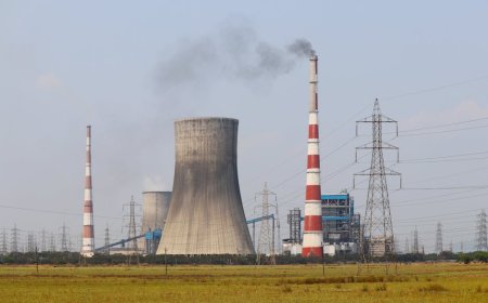 Dampak Pemangkasan Impor Batu Bara India pada Investasi Energi