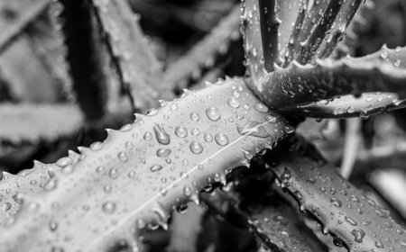 Begini Cara AI Dipakai untuk Strategi Perang Masa Kini