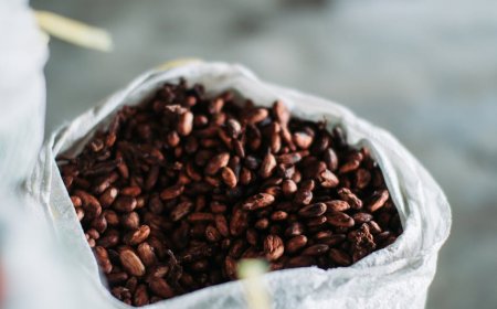 Emiten COCO Ekspansi Bisnis Kakao Perkuat Industri Cokelat Nasional