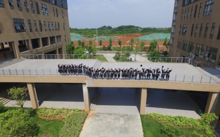 Laba Anak Usaha BRI Tembus Rp10,38 Triliun Berkat BRIVolution