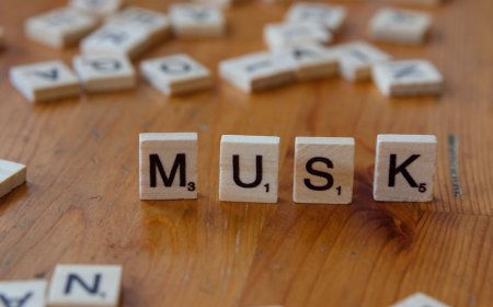 Elon Musk Bela Cuitan di Sidang Gugatan Pemegang Saham Twitter