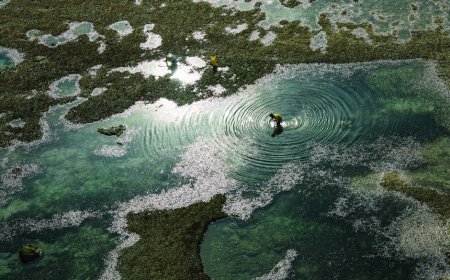 Mengapa Konflik Anthropic dan Pentagon Bisa Rugikan Industri AI Miliaran