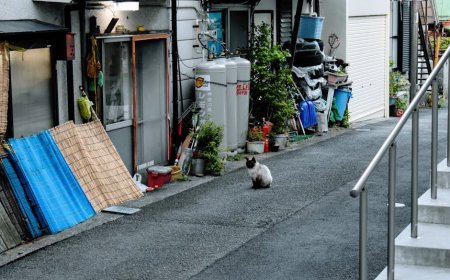 Restoran India Terancam Tutup Akibat Kelangkaan Gas Memasak Imbas Konflik Iran