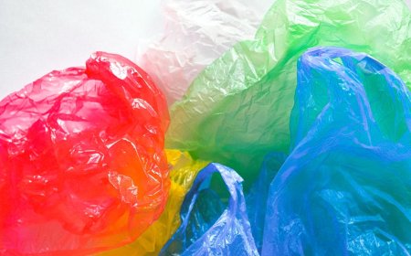 Benarkah Mikroplastik Berbahaya untuk Kesehatan Manusia Ini Faktanya